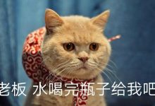Kubernetes介绍-ABCLearning