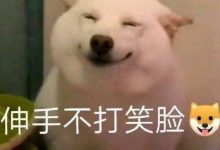 建站教程:宝塔面板搭建WORDPRESS站点-ABCLearning